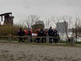 Body Discovered In St. Clair River at Desmond Landing